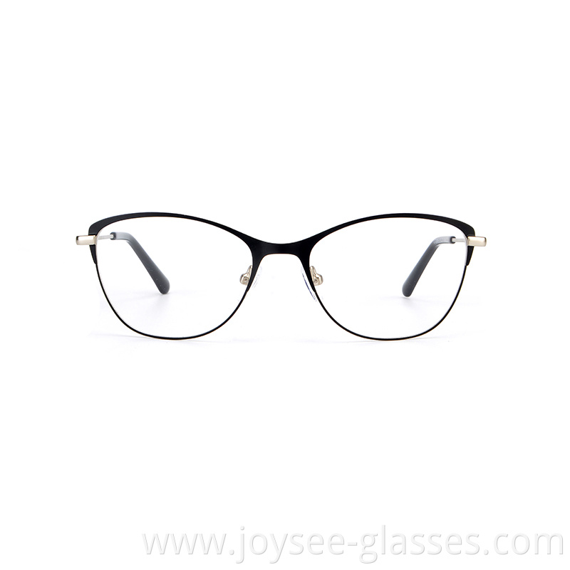 Two Tones Metal Eyeglasses 1